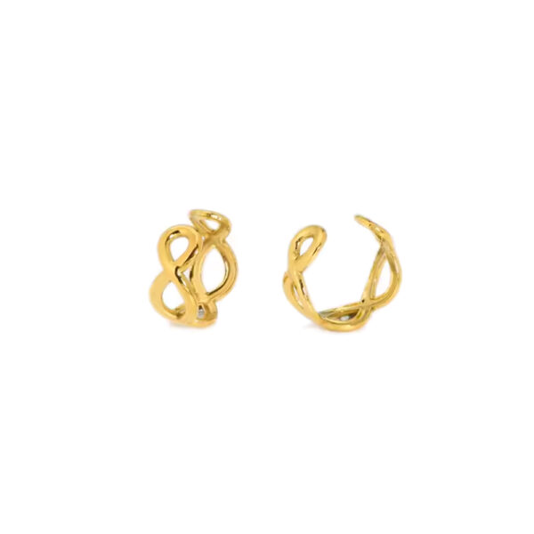 Aelin Earring